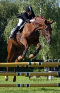 2003-dafne.jpg